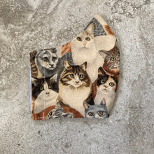 Load image into Gallery viewer, Vintage Cat Print Face Mask