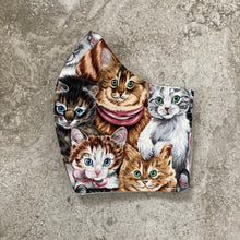 Load image into Gallery viewer, Vintage Kitty Cat Print Face Mask