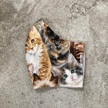 Load image into Gallery viewer, Vintage Kitten Cat Print Face Mask