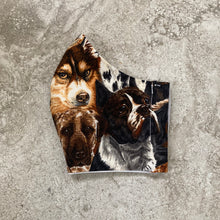 Load image into Gallery viewer, Dog Print Face Mask