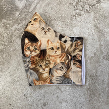 Load image into Gallery viewer, Vintage Cat Print Face Mask
