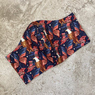 USA American Flag and Bald Eagle Print Face Mask
