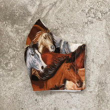 Load image into Gallery viewer, Vintage Wild Horse Pony Print Face Mask
