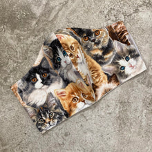 Load image into Gallery viewer, Vintage Kitten Cat Print Face Mask
